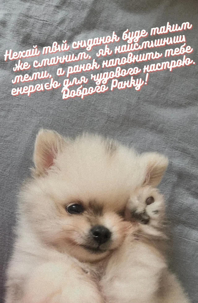 гарного ранку доброго дня