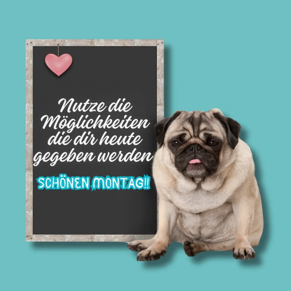 guten morgen montag bilder