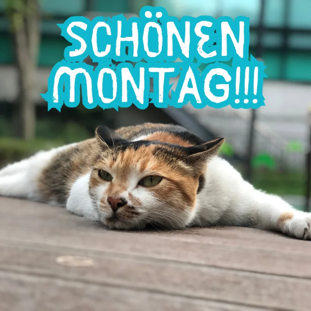 guten morgen gruß montag