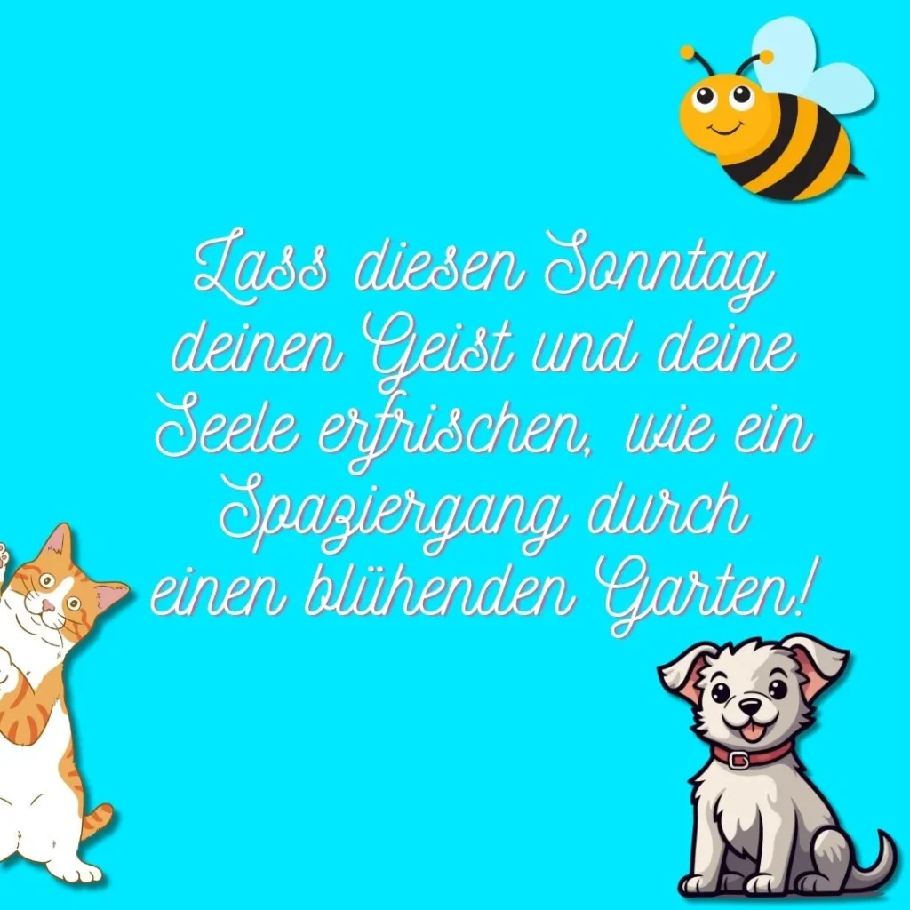 bilder für einen schönen sonntag