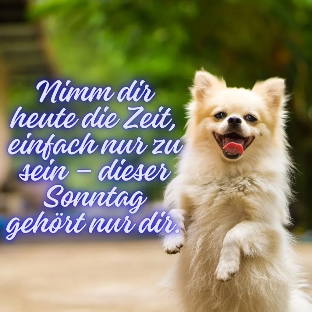 ein schönen sonntag