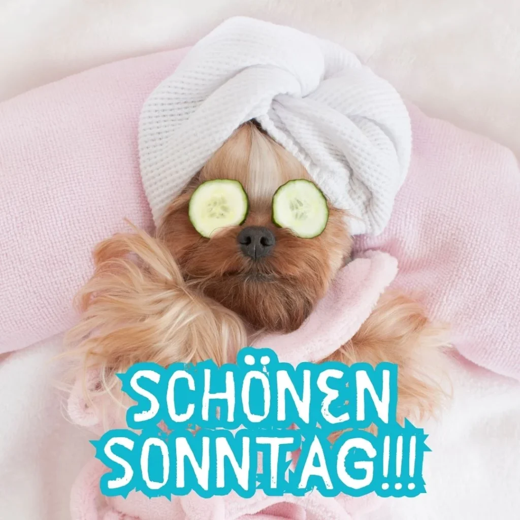 erholsamen sonntag bilder