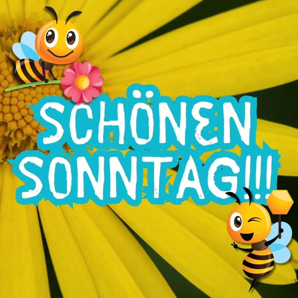 schöner sonntag bilder