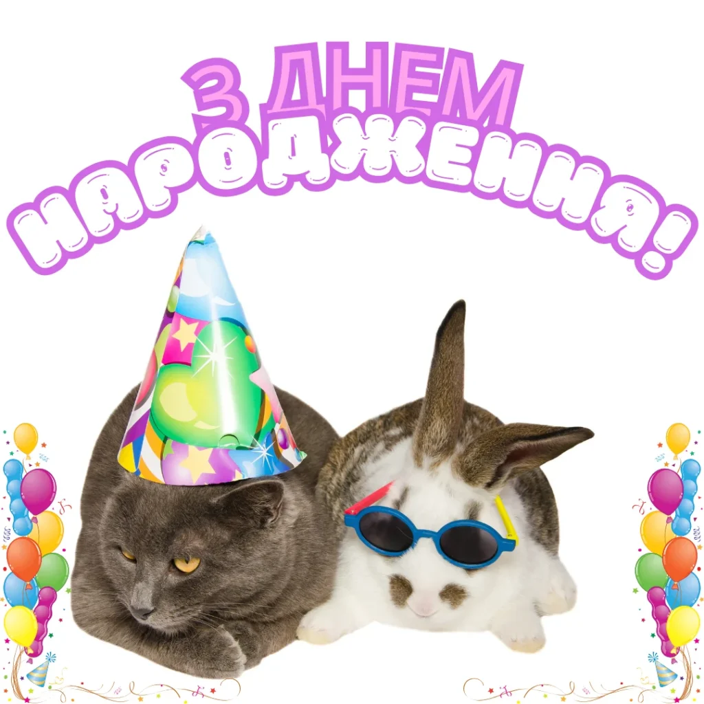 день народження жінці картинки